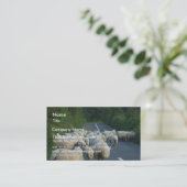 Carte De Visite Agneaux de routes de moutons (Debout devant)