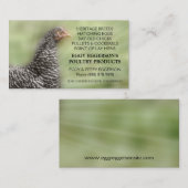 Carte De Visite Agriculteur interdit d'oeufs de poulet de roche (Devant / Derrière)