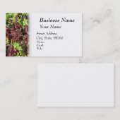 Carte De Visite Agriculture, produit et agriculture (Devant / Derrière)