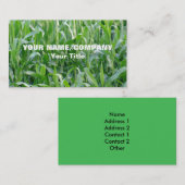 Carte De Visite Agriculture verte de champ de maïs (Devant / Derrière)