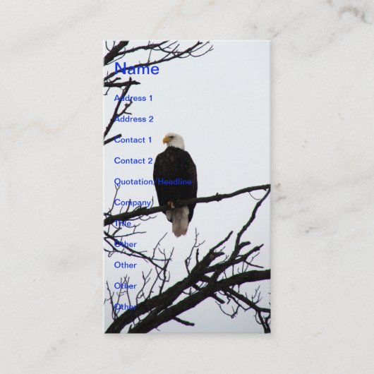 Carte De Visite Aigle à tête blanche américaine (Devant)