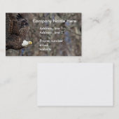 Carte De Visite Aigle à tête blanche avec poisson-chat (Devant / Derrière)