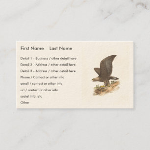 Carte De Visite Aigle d'or (Aquila chrysaetos) NY Bird Image
