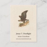 Aigle d'or (Aquila chrysaetos) NY Bird Image