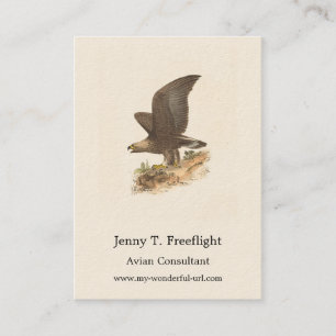 Carte De Visite Aigle d'or (Aquila chrysaetos) NY Bird Image