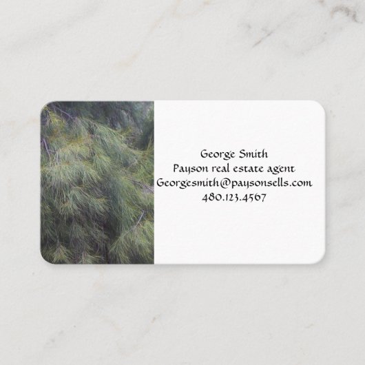 Carte De Visite Aiguilles de pins (Devant)