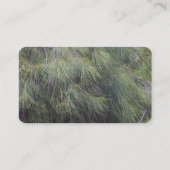 Carte De Visite Aiguilles de pins (Dos)