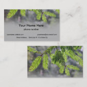 Carte De Visite Aiguilles de région boisée (Devant / Derrière)