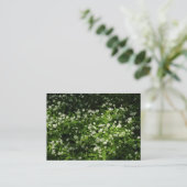 Carte De Visite Ail sauvage (Debout devant)