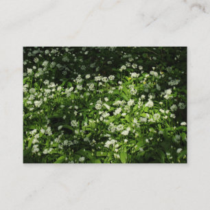 Carte De Visite Ail sauvage