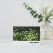 Carte De Visite Ail sauvage (Debout devant)