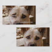 Carte De Visite Akita doux (Devant / Derrière)