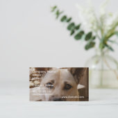 Carte De Visite Akita doux (Debout devant)