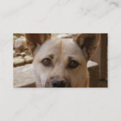 Carte De Visite Akita doux (Dos)