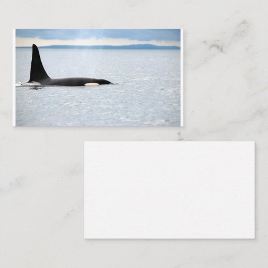 Carte De Visite Alaska - Orca (Devant / Derrière)