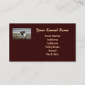 Carte de visite allemand d'éleveur d'indicateur (Dos)