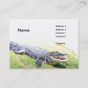 Carte De Visite alligator américain