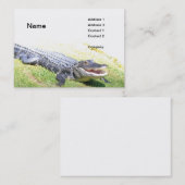 Carte De Visite alligator américain (Devant / Derrière)