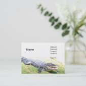 Carte De Visite alligator américain (Debout devant)