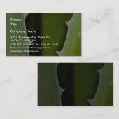 Carte De Visite Aloé Vera (Devant / Derrière)