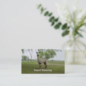 Carte De Visite Alpaca Shear (Debout devant)