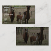 Carte De Visite Alpaga Brown mignons dans le zoo (Devant / Derrière)