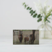 Carte De Visite Alpaga Brown mignons dans le zoo (Debout devant)