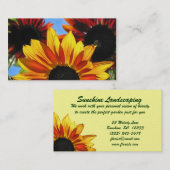 Carte De Visite Aménagement de soleil (Devant / Derrière)