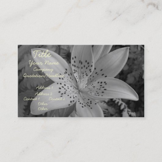 Carte De Visite American Tiger Lily (Devant)