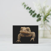 Carte De Visite American Toad ATC (Debout devant)