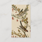 Carte De Visite American Tree Sparrow, les oiseaux d'Amérique d'Au (Dos)
