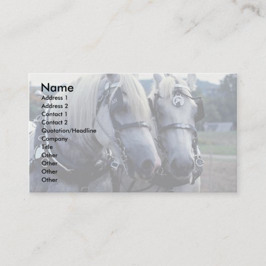 Carte De Visite Amis, équipe de cheval (Devant)