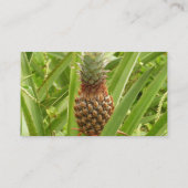Carte De Visite Ananas sauvage Fruit tropical dans la nature (Dos)
