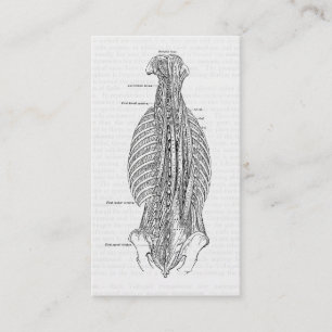 Carte De Visite Anatomie vintage dessinant le dos