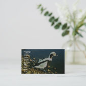 Carte De Visite Ancienne place (Debout devant)