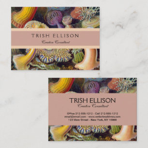 Carte De Visite Anémone de mer Nature scientifique Océan