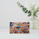 Carte De Visite Anémone sous-marine tropicale de Clownfish (Debout devant)