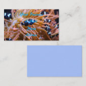 Carte De Visite Anémone sous-marine tropicale de Clownfish (Devant / Derrière)