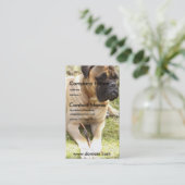 Carte de visite anglais de chien de mastiff (Debout devant)