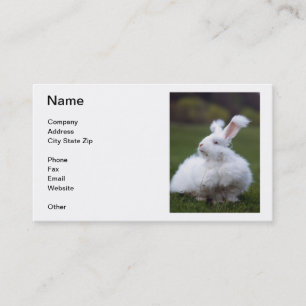 Carte de visite angora blanc de lapin