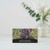 Carte de visite animal (Debout devant)