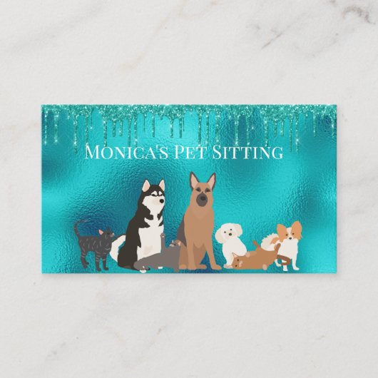 Carte De Visite Animal assis Chien Chat Animaux assis Robin's Oeuf (Devant)