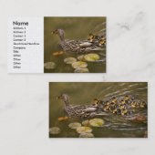 Carte De Visite Animal - Canards - Nager comme un canard (Devant / Derrière)