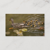 Carte De Visite Animal - Canards - Nager comme un canard (Dos)