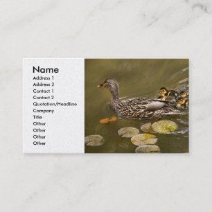 Carte De Visite Animal - Canards - Nager comme un canard