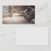Carte De Visite Animal de compagnie, beau chat. (Devant / Derrière)