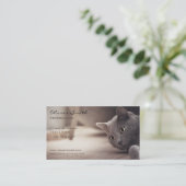 Carte De Visite Animal de compagnie, beau chat. (Debout devant)