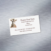 Carte de visite animal de ferme de chèvre personna (In Situ)