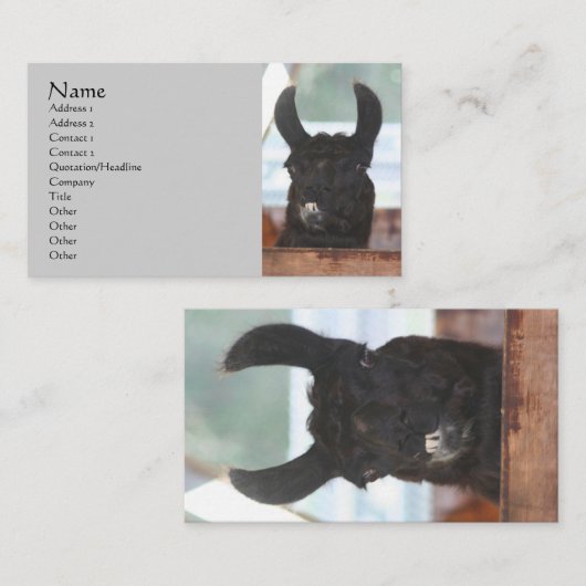 Carte de visite animal de ferme Llama Noire (Devant / Derrière)