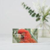 Carte De Visite Animal de perroquet (Debout devant)